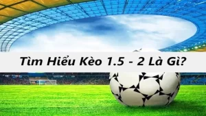 Tìm hiểu kèo 1.5-2 tại Sky88